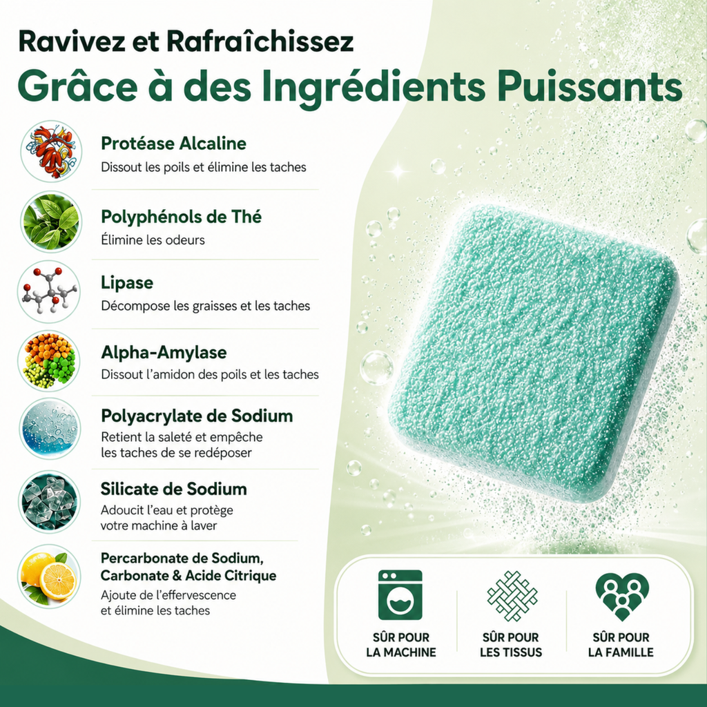 Nettoyant Professionnel pour Machine à Laver