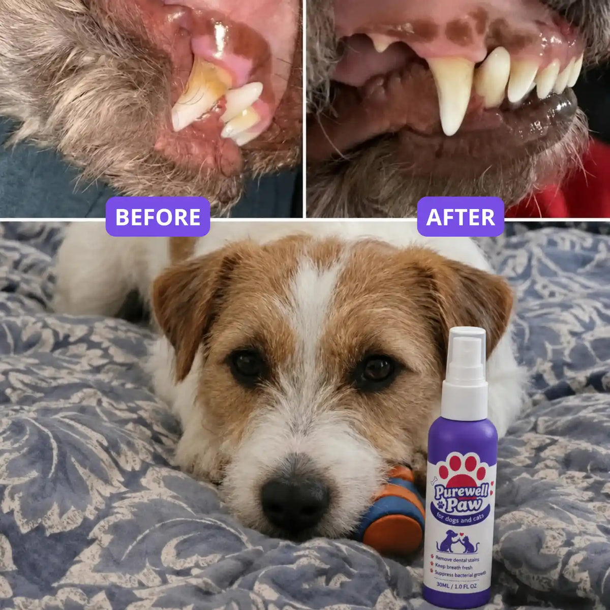 Dental Spray – Eliminates the bacteria causing tartar and bad breath in dogs