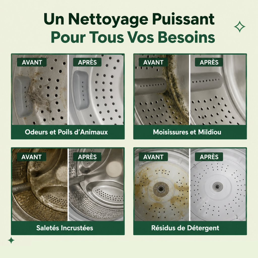 Nettoyant Professionnel pour Machine à Laver