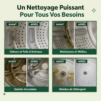 Nettoyant Professionnel pour Machine à Laver