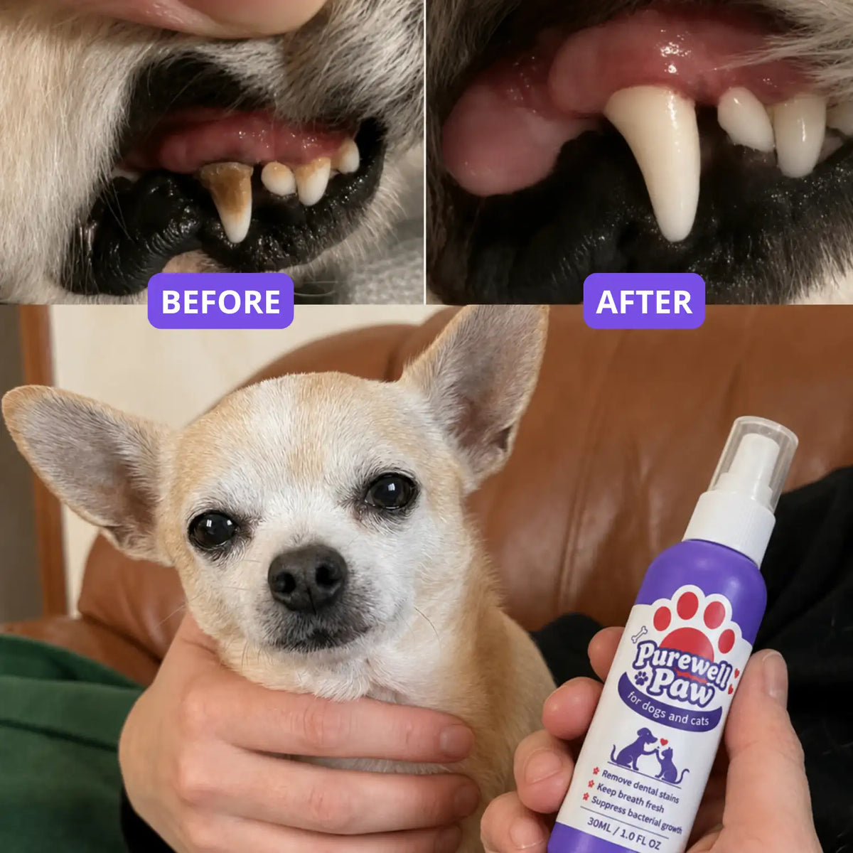 Dental Spray – Eliminates the bacteria causing tartar and bad breath in dogs