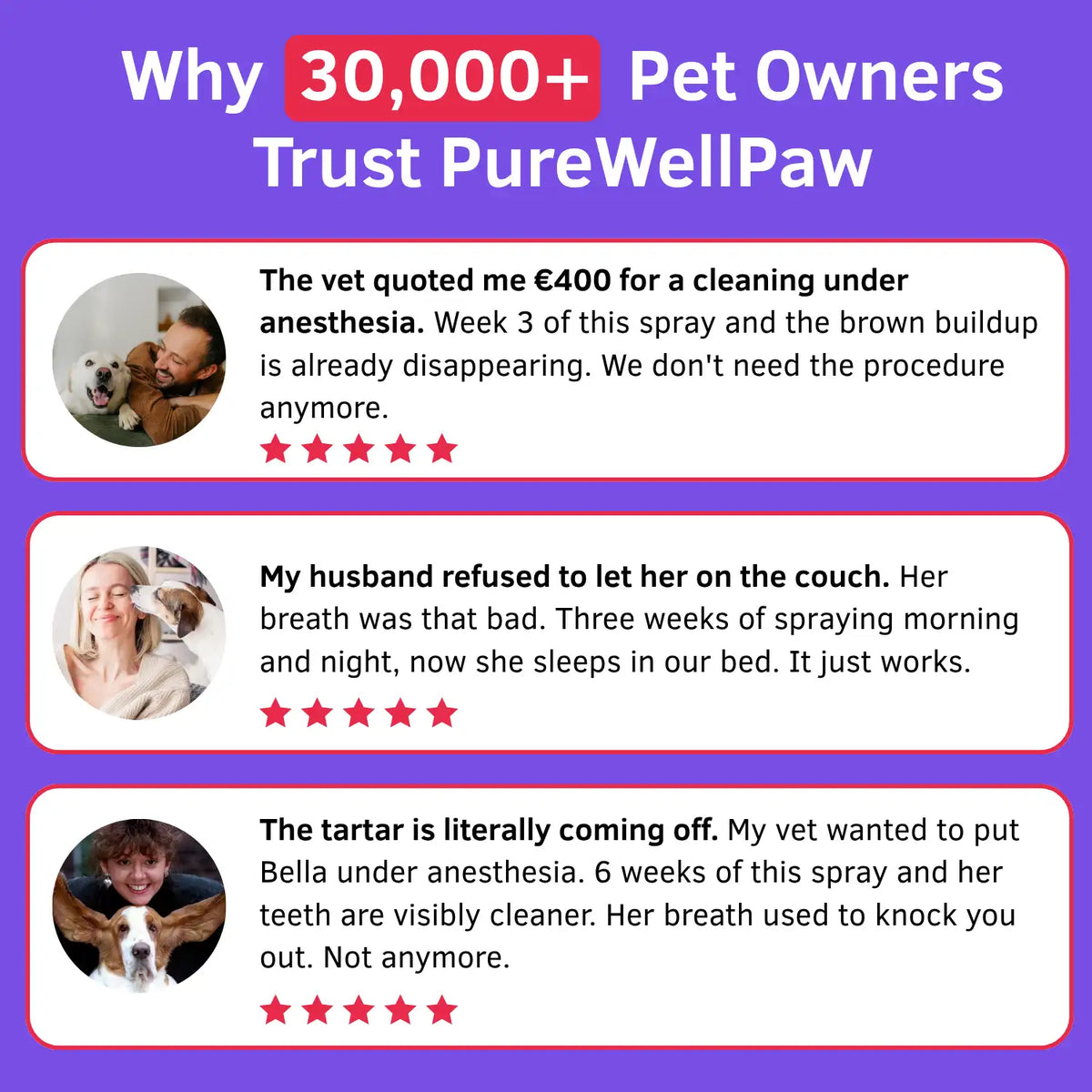 Dental Spray – Eliminates the bacteria causing tartar and bad breath in dogs